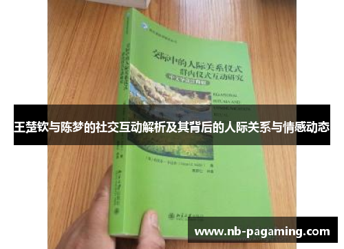 王楚钦与陈梦的社交互动解析及其背后的人际关系与情感动态