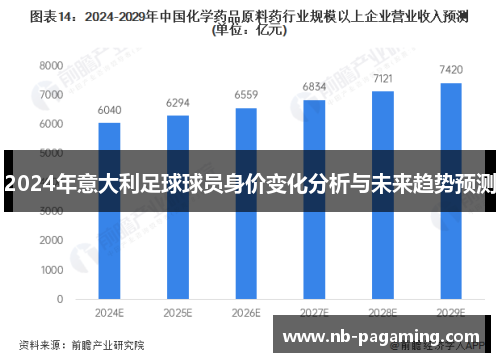 2024年意大利足球球员身价变化分析与未来趋势预测