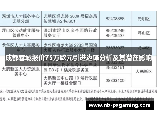 成都蓉城报价75万欧元引进边锋分析及其潜在影响