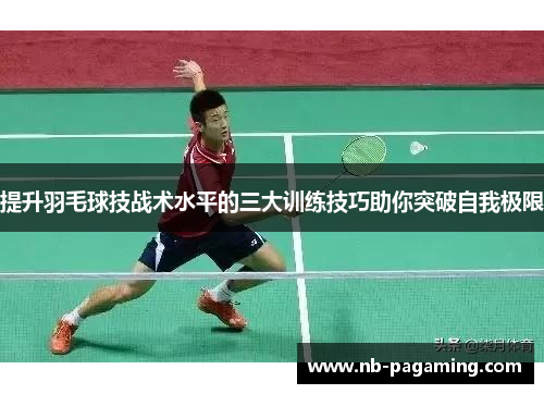 提升羽毛球技战术水平的三大训练技巧助你突破自我极限