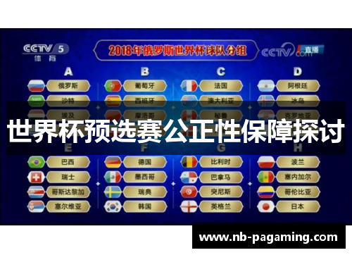 世界杯预选赛公正性保障探讨