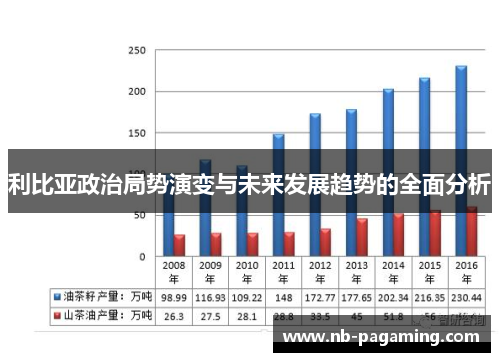 利比亚政治局势演变与未来发展趋势的全面分析