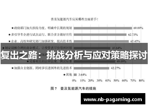 复出之路：挑战分析与应对策略探讨