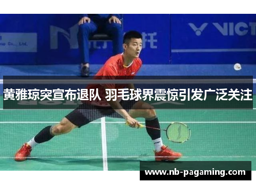 黄雅琼突宣布退队 羽毛球界震惊引发广泛关注