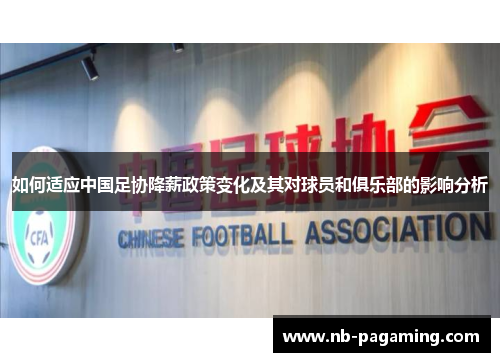 如何适应中国足协降薪政策变化及其对球员和俱乐部的影响分析