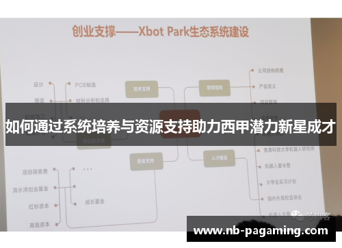 如何通过系统培养与资源支持助力西甲潜力新星成才