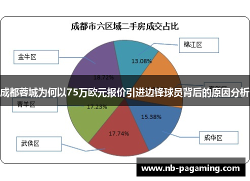 成都蓉城为何以75万欧元报价引进边锋球员背后的原因分析