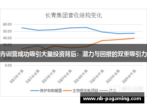 青训营成功吸引大量投资背后：潜力与回报的双重吸引力