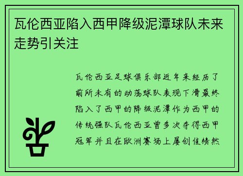 瓦伦西亚陷入西甲降级泥潭球队未来走势引关注 瓦伦西亚陷入西甲降级泥潭球队未来走势引关注